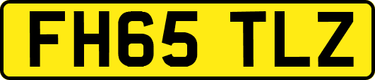 FH65TLZ