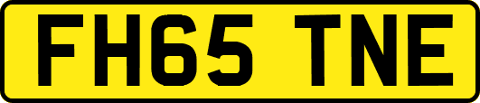 FH65TNE