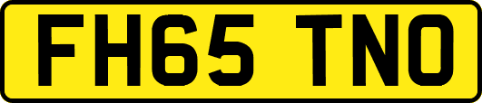FH65TNO