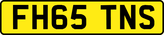 FH65TNS