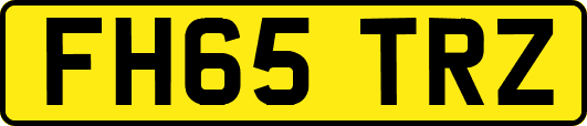 FH65TRZ