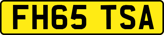 FH65TSA
