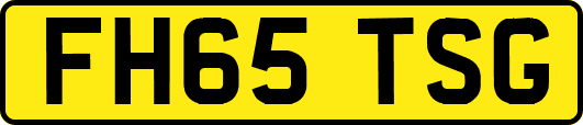 FH65TSG