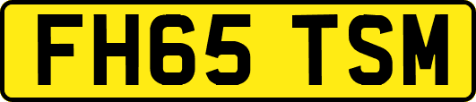 FH65TSM
