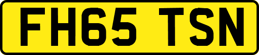 FH65TSN