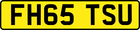 FH65TSU
