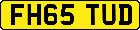 FH65TUD