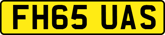 FH65UAS