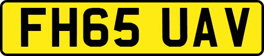 FH65UAV