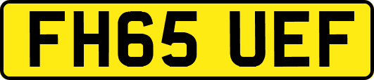 FH65UEF