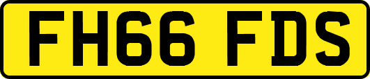 FH66FDS