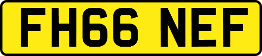 FH66NEF