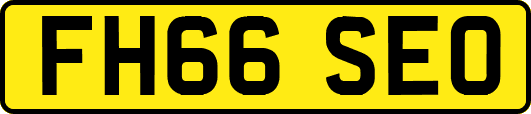 FH66SEO