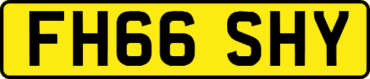 FH66SHY