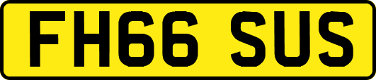 FH66SUS