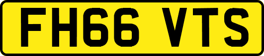 FH66VTS