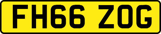 FH66ZOG