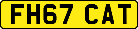 FH67CAT