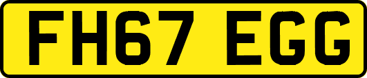 FH67EGG