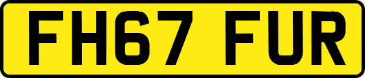 FH67FUR