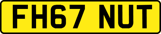 FH67NUT