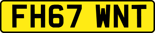 FH67WNT