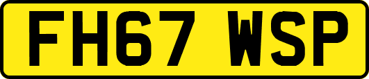 FH67WSP