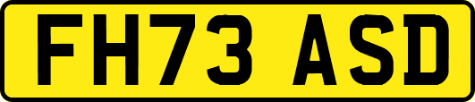 FH73ASD
