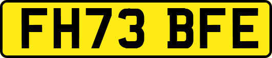 FH73BFE