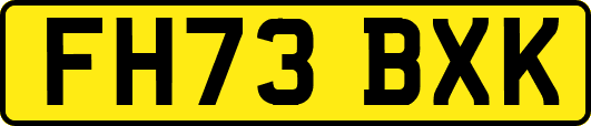 FH73BXK