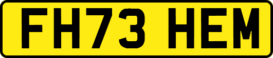 FH73HEM