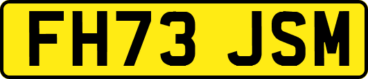 FH73JSM