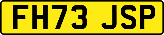 FH73JSP