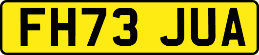 FH73JUA