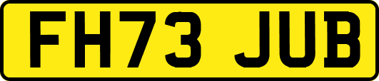 FH73JUB