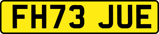 FH73JUE