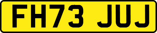 FH73JUJ