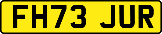 FH73JUR
