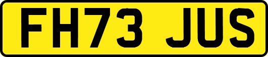 FH73JUS