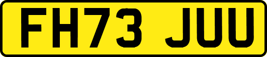 FH73JUU
