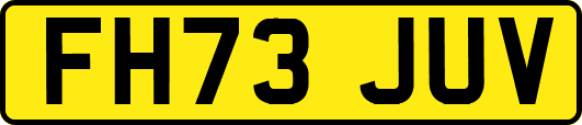 FH73JUV