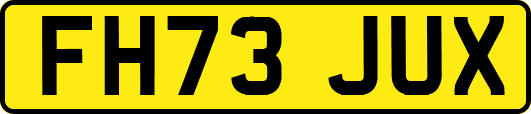 FH73JUX