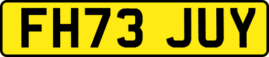 FH73JUY