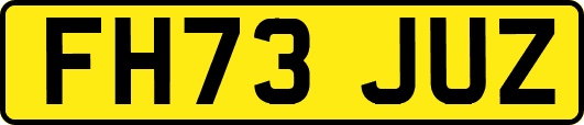 FH73JUZ