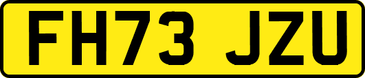 FH73JZU