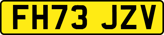 FH73JZV