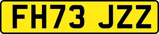 FH73JZZ