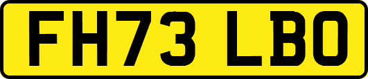 FH73LBO