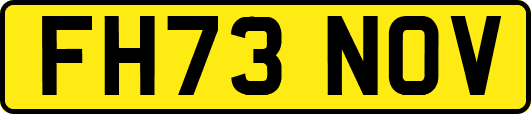 FH73NOV