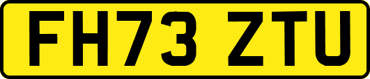 FH73ZTU